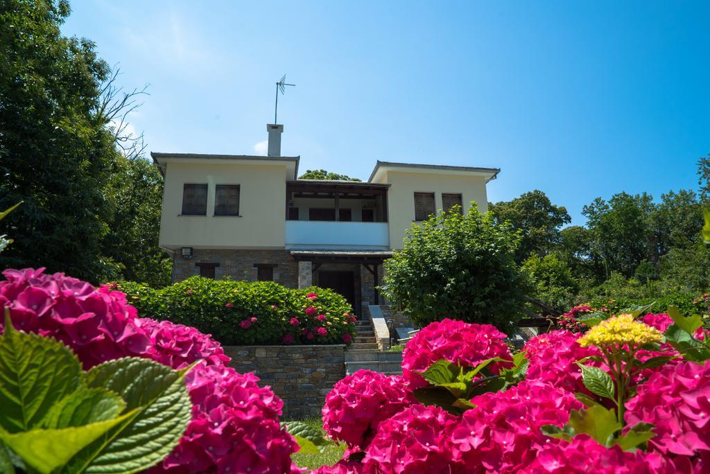 Luxury Villa With Pool In Tsagarada Exteriér fotografie